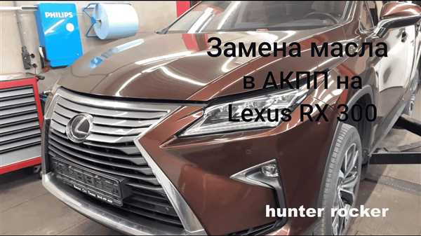 Размещение