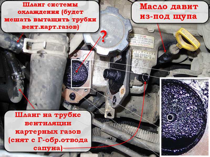 Выбор